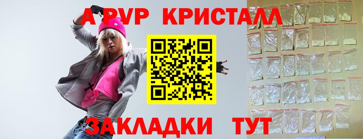 Альфа ПВП СК КРИС Кизилюрт