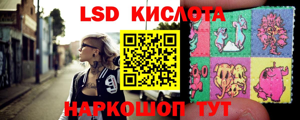 купить закладку  Марки N-bome 1500мкг  Вход с VPN  Марки N-bome 1500мкг  Кизилюрт  Марки N-bome 
