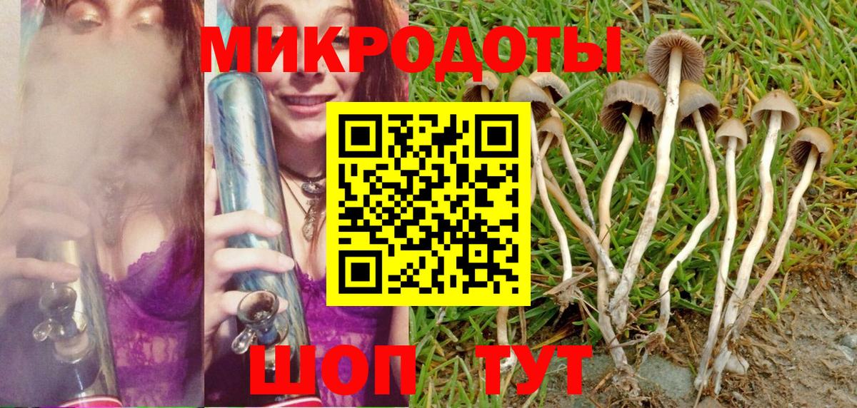 Псилоцибиновые грибы GOLDEN TEACHER Кизилюрт