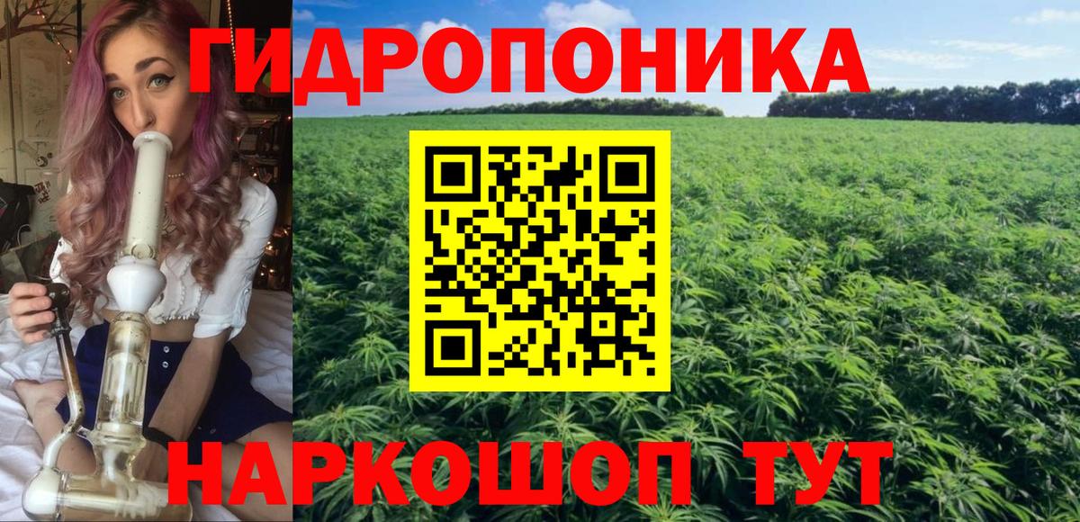 Каннабис индика  Конопля конопля  Канабис планчик  МАРИХУАНА план  Вход с VPN  Кизилюрт 